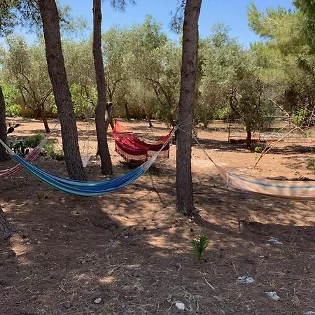 La Casa Nella Pineta - Apartament