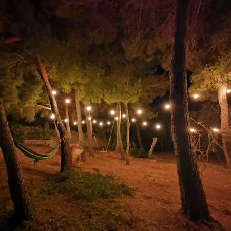 La Casa Nella Pineta - Lejlighed *