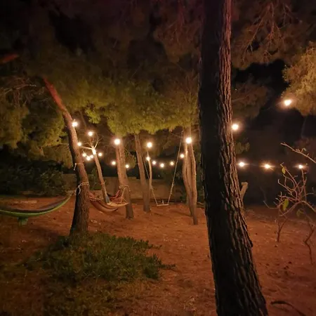 Apartament La Casa Nella Pineta - *